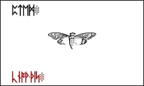 cicada puzzle white logo